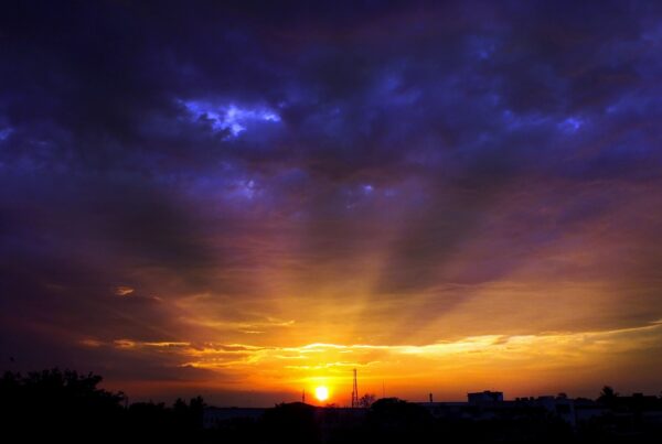 silhouette photography of buildings