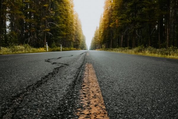 an empty road in the middle of a forest